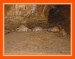 Koněpruské jeskyně 1
